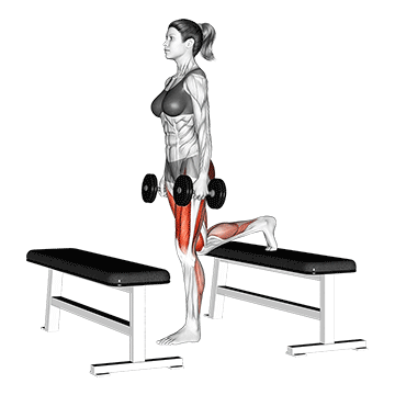 dumbbell step-up lunge demonstration