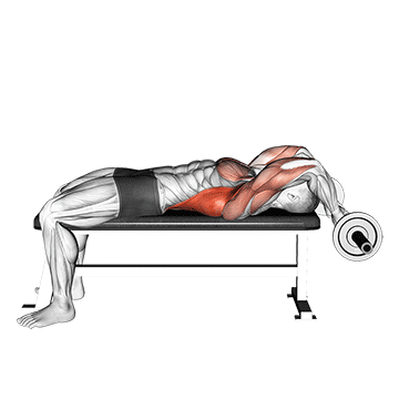 ez bar lying bent arms pullover demonstration