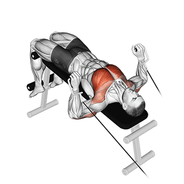 cable decline press demonstration