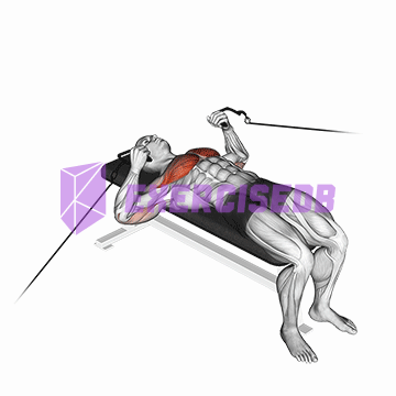 cable bench press img