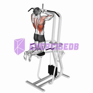 assisted parallel close grip pull-up img