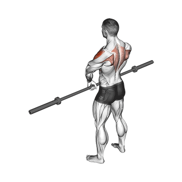 barbell upright row v. 3 demonstration
