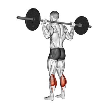 barbell floor calf raise demonstration