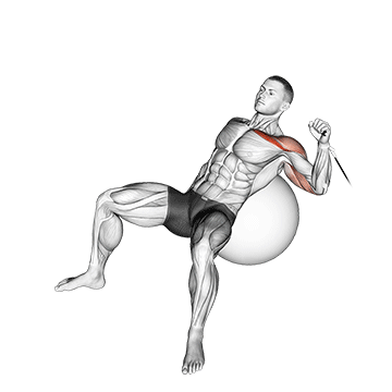 cable one arm incline press on exercise ball demonstration
