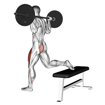 barbell one leg squat demonstration