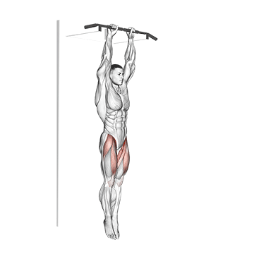 hanging straight leg raise demonstration