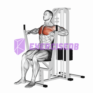 lever chest press