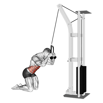 cable kneeling crunch demonstration