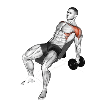 dumbbell incline raise demonstration
