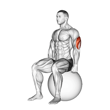 exercise ball seated triceps stretch demonstration