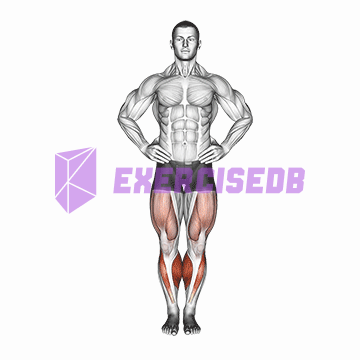 circles knee stretch