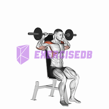 barbell seated bradford rocky press