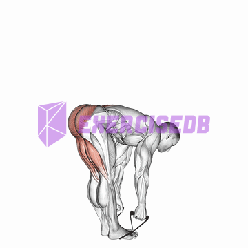 band straight leg deadlift img