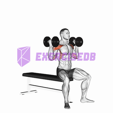 dumbbell arnold press v. 2