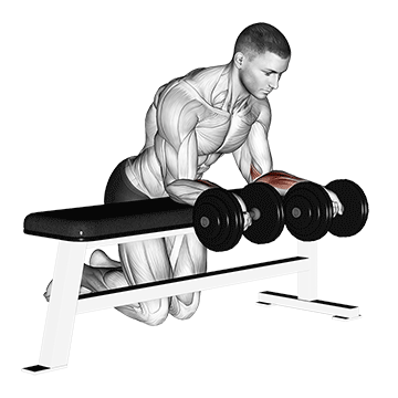 dumbbell over bench revers wrist curl demonstration