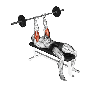 barbell lying triceps extension demonstration