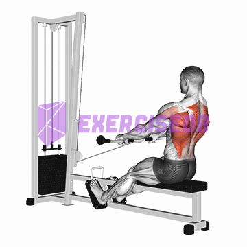 cable low seated row