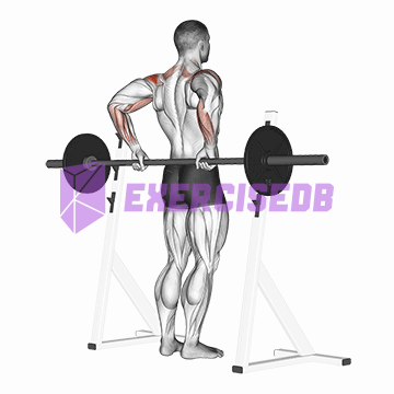 barbell rear delt raise