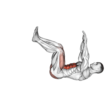 dead bug demonstration