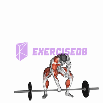 barbell one arm snatch