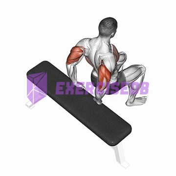 bench dip (knees bent)