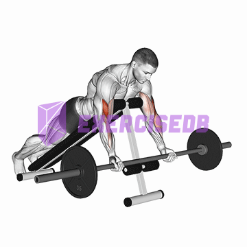 barbell prone incline curl