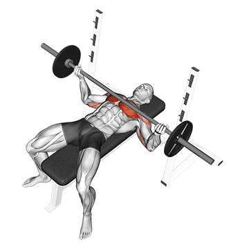 barbell wide reverse grip bench press demonstration