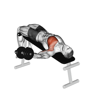 dumbbell decline one arm fly demonstration