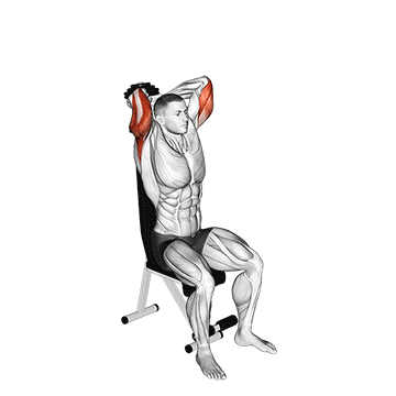 dumbbell seated triceps extension demonstration
