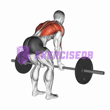 barbell reverse grip bent over row img