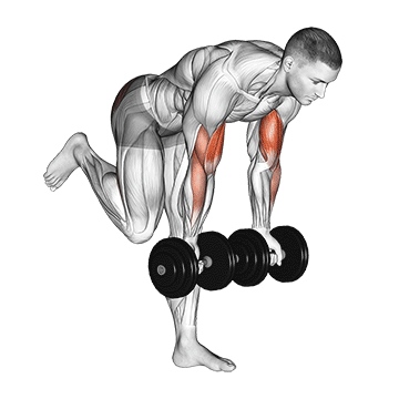 dumbbell bicep curl with stork stance demonstration