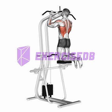 lever assisted chin-up