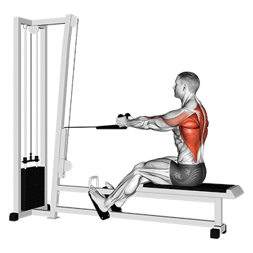 cable rope seated row demonstration