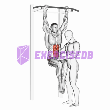 assisted hanging knee raise with throw down img