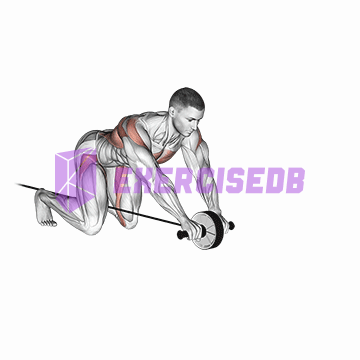 band assisted wheel rollerout img