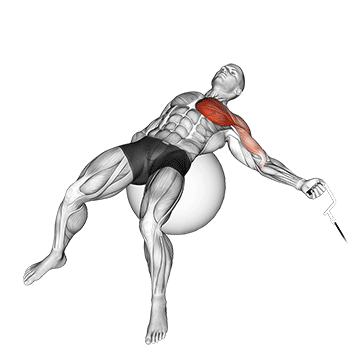 cable one arm fly on exercise ball demonstration