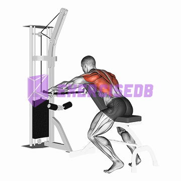 cable decline seated wide-grip row
