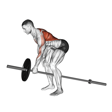lever one arm bent over row demonstration