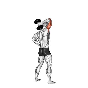 dumbbell standing one arm extension demonstration