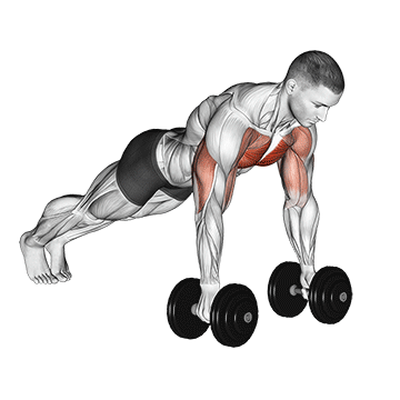 deep push up demonstration