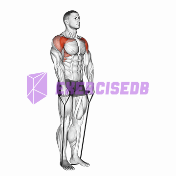 band front raise img