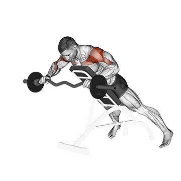 ez barbell anti gravity press demonstration