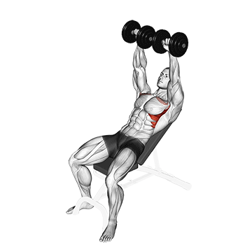 dumbbell incline shoulder raise demonstration