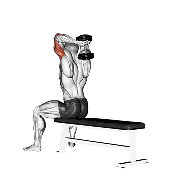 dumbbell seated bench extension demonstration