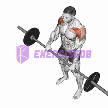 barbell front raise