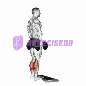 dumbbell standing calf raise