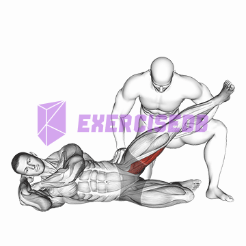 assisted side lying adductor stretch
