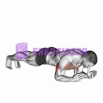 body-up