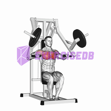 lever chest press