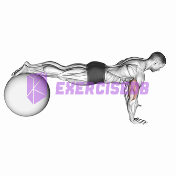 push-up (on stability ball)